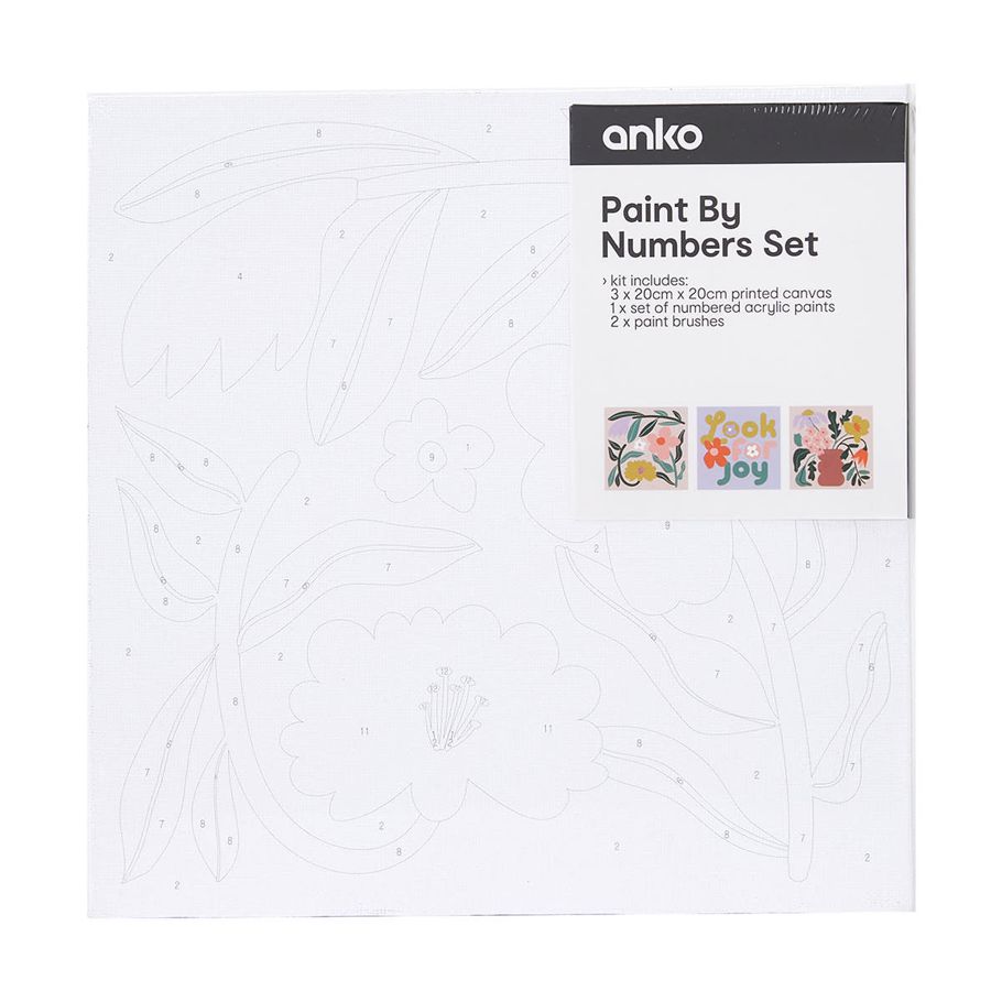3 Pack Paint by Numbers Set