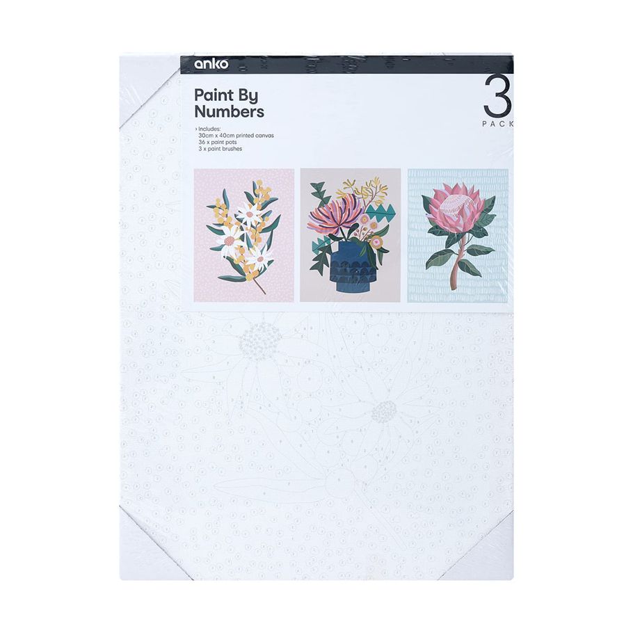3 Pack Paint by Numbers - Floral Bouquet