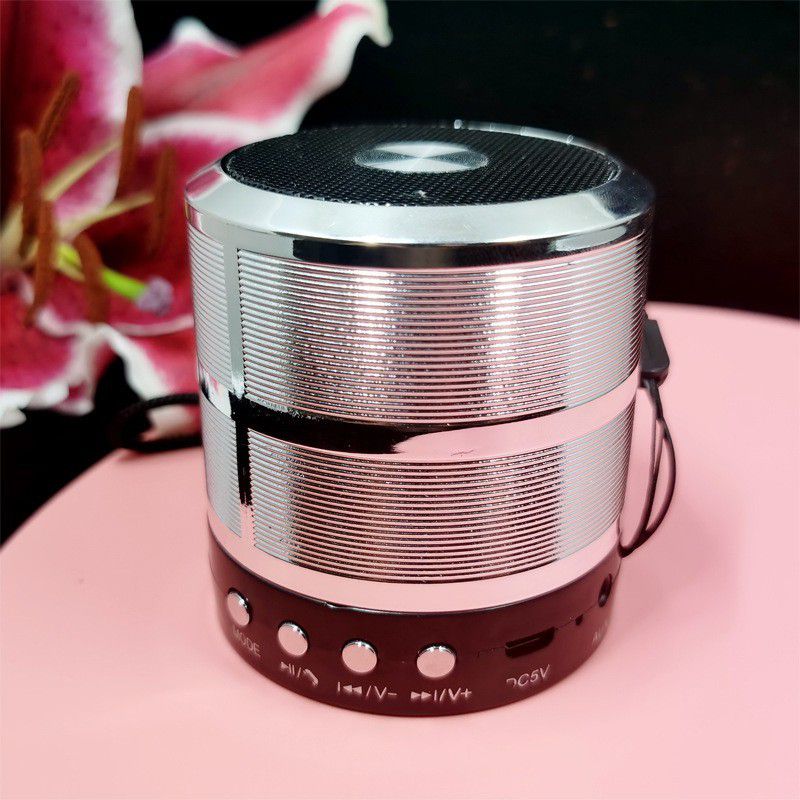RHONNIUM WS-887 Bluetooth Speaker-TJ971 10 W Bluetooth Speaker  (Era Silver, Stereo Channel)