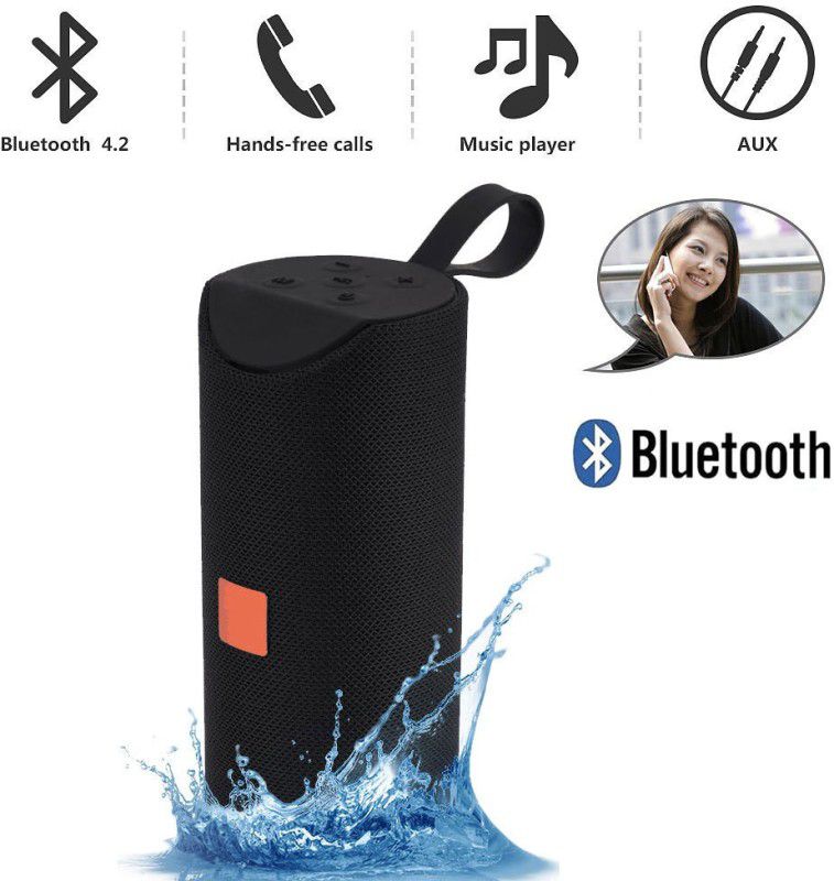 Techobucks Top Quality TG113 Bluetooth Speaker 10H Playtime 3D-Bass, Aux,USB,SD Card Input 10 W Bluetooth Speaker  (Black, Stereo Channel)