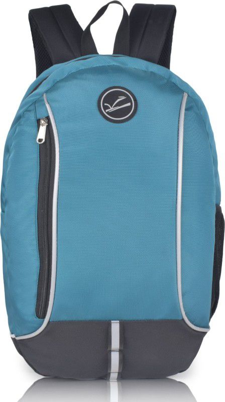 Medium 25 L Laptop Backpack Reflections Backpack Multifunction Travel Hiking Polyster Daypack College School Light Weight Book bag  (Blue)