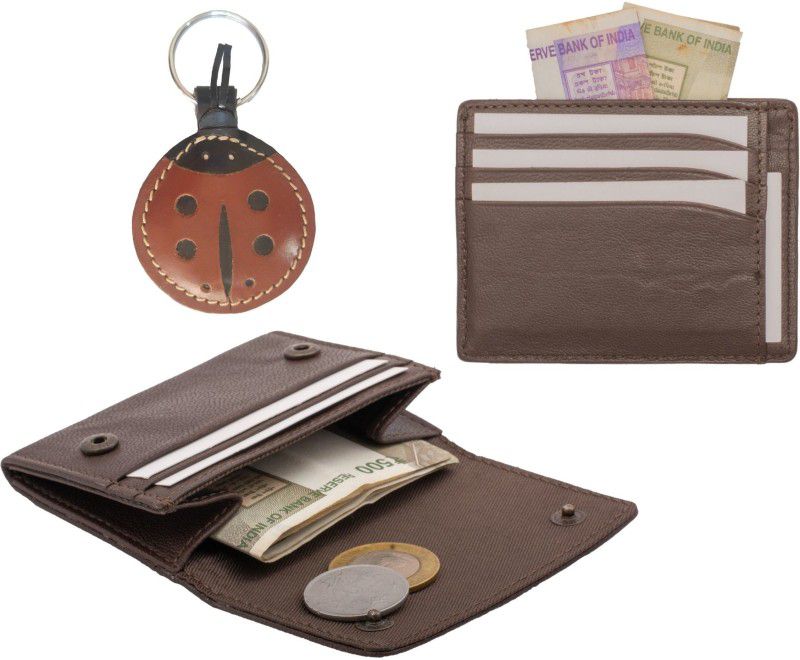 21 DEGREE Card Holder & Wallet Combo  (Brown)