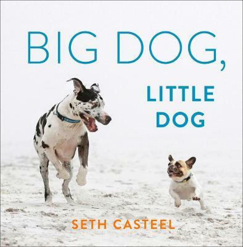 Big Dog, Little Dog  (English, Hardcover, Casteel Seth)