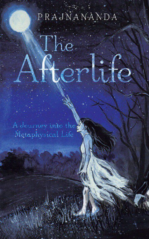 The Afterlife  (English, Paperback, Prajnananda)
