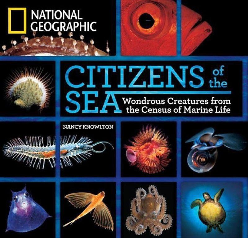 Citizens of the Sea  (English, Hardcover, Knowlton Nancy)