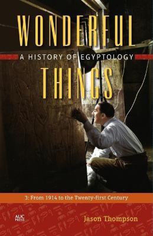 Wonderful Things  (English, Hardcover, Thompson Jason)