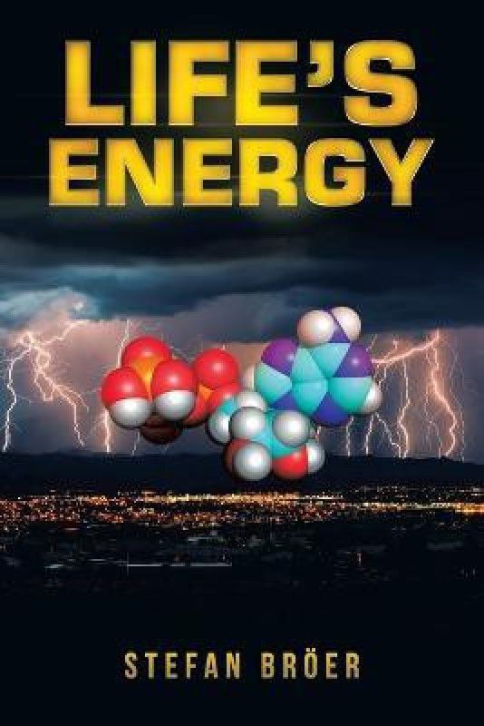 Life’s Energy  (Paperback, Stefan Bröer)