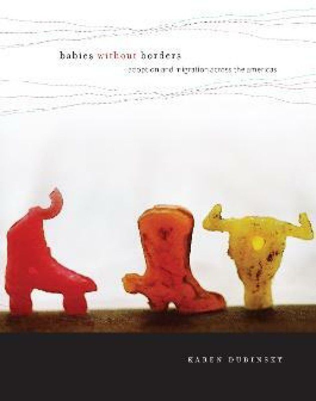 Babies without Borders  (English, Paperback, Dubinsky Karen)