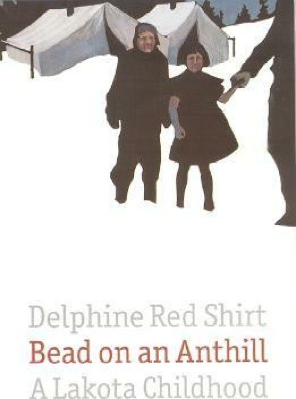 Bead on an Anthill  (English, Paperback, Red Shirt Delphine)