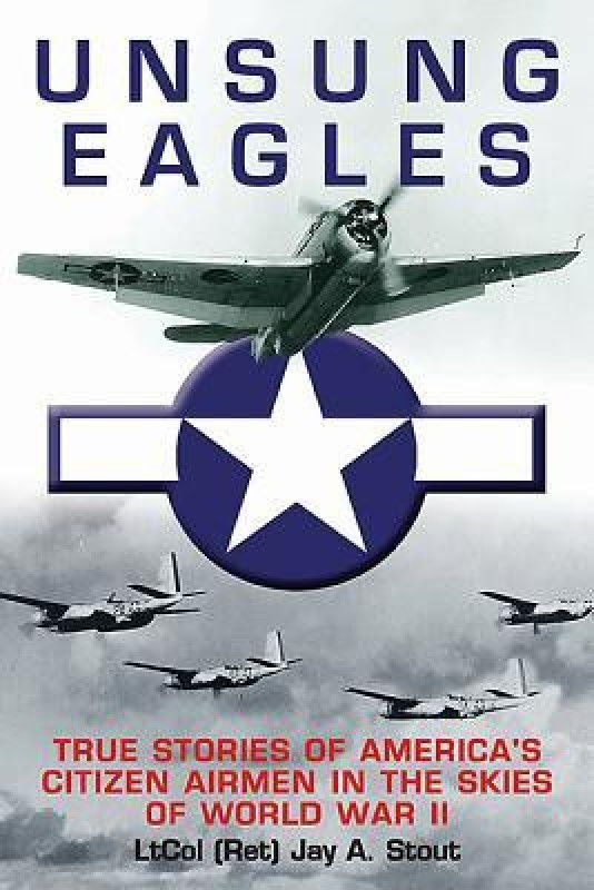 Unsung Eagles  (English, Hardcover, Stout Jay)