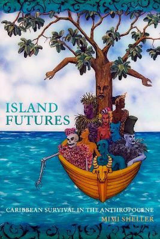 Island Futures  (English, Paperback, Sheller Mimi)