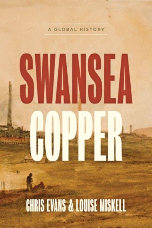 Swansea Copper  (English, Hardcover, Evans Chris)