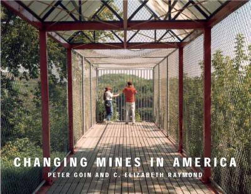 Changing Mines in America  (English, Paperback, Goin Peter)