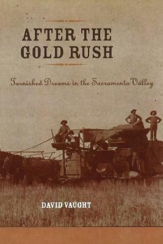 After the Gold Rush  (English, Paperback, Vaught David)