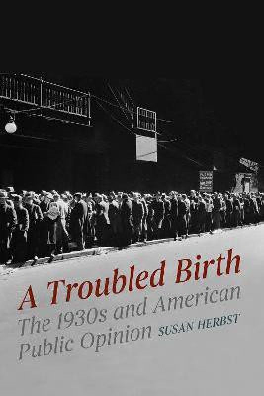 A Troubled Birth  (English, Paperback, Herbst Susan)