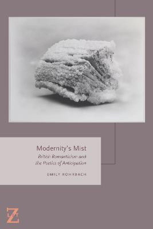 Modernity's Mist  (English, Paperback, Rohrbach Emily)