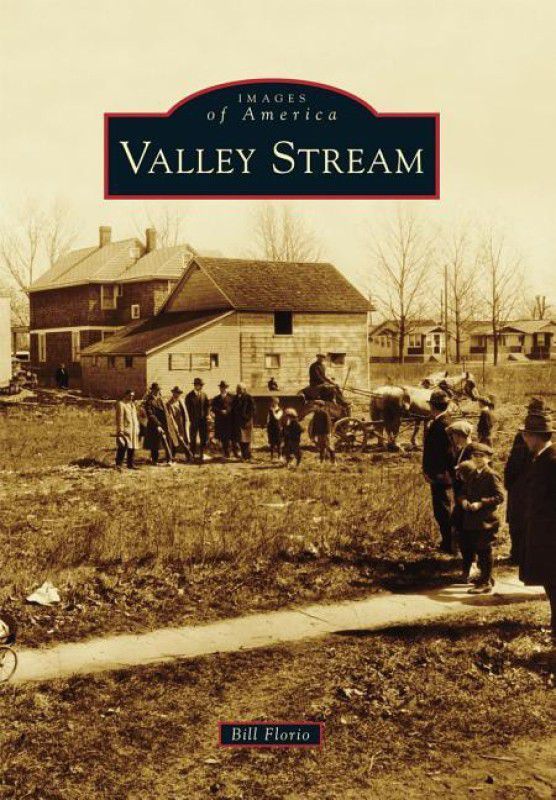 Valley Stream  (English, Paperback, Bill Florio)