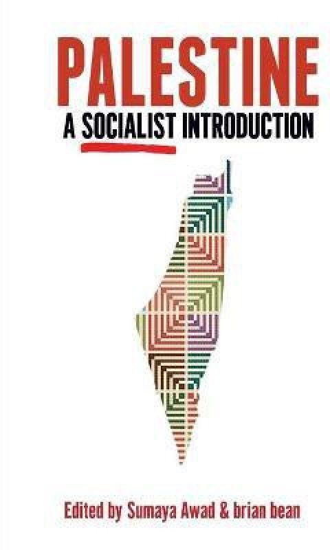 Palestine: A Socialist Introduction  (English, Paperback, unknown)