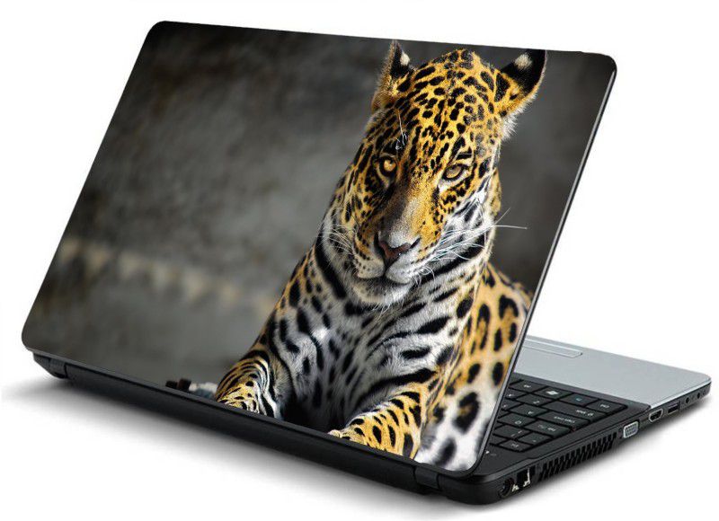 Advik Arts cheetah Focus Laptop Skin Sticker Laminated Vinyl Laptop Decal 15.6