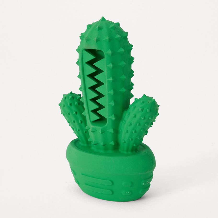 Pet Toy Chew Dental Cactus - Large