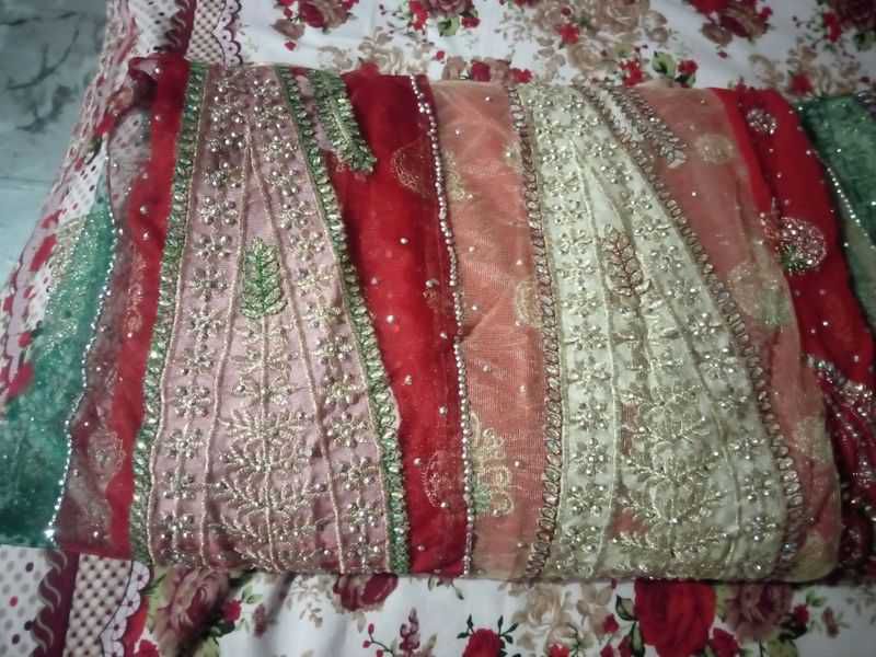 Gorgeous jorjet sari
