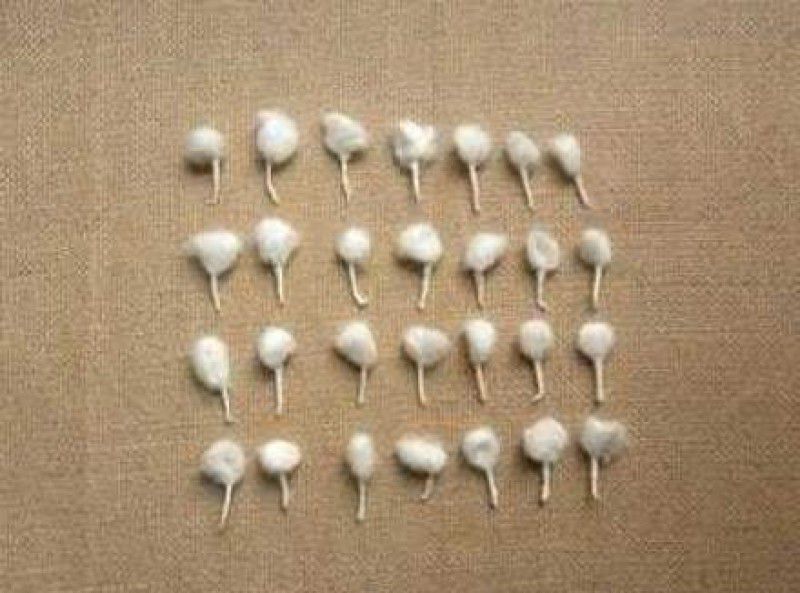 Sukh Dham Cotton phool batti/ Flower batti/ Gol batti (200pc) Cotton Wick