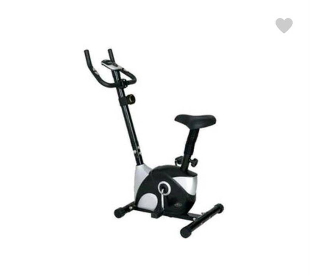 533F magnetic exercise bike