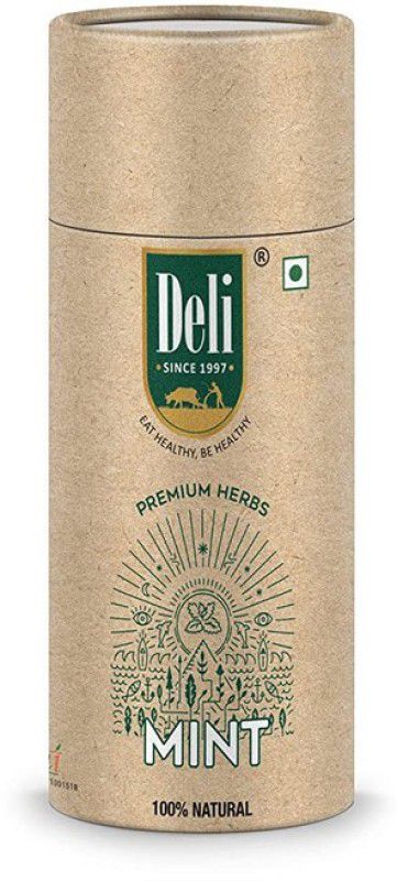 Deli Mint herb "Freeze Dried" Flavor Masala for Texture & Pizza (20g) - Pack of 1  (20 g)
