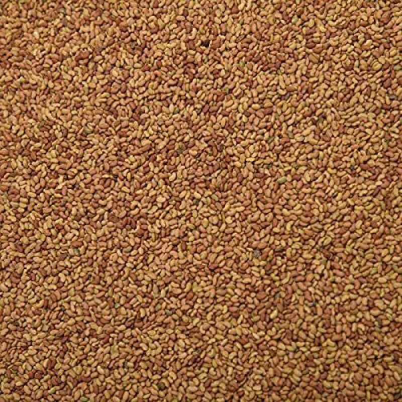 Nature Vit Alfalfa Seeds for Sprouting, 400g [Alfa Alfa Seeds] Alphalpha Seeds  (400 g)