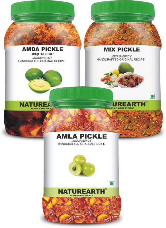 NaturEarth 100% Natural Amla,Amda & Mix Pickle(600 g) Primium Quality Achar Mixed Pickle  (3 x 200 g)