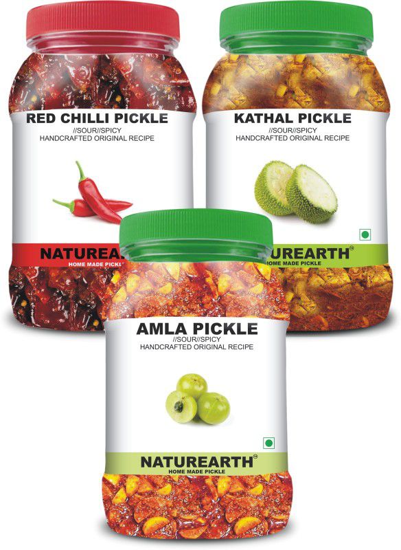 NaturEarth 100% Natural Amla , Red Chilli & Kathal Pickle(600 g) Primium Quality Achar Mixed Pickle  (3 x 200 g)