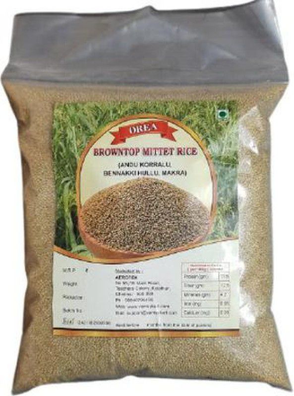 orea BROWNTOP MILLET RICE 5KG UNPOLISHED, (ANDU KORRALU, BENNAKKI HULLU, MAKRA) Browntop Millet  (5 kg, Pack of 5)