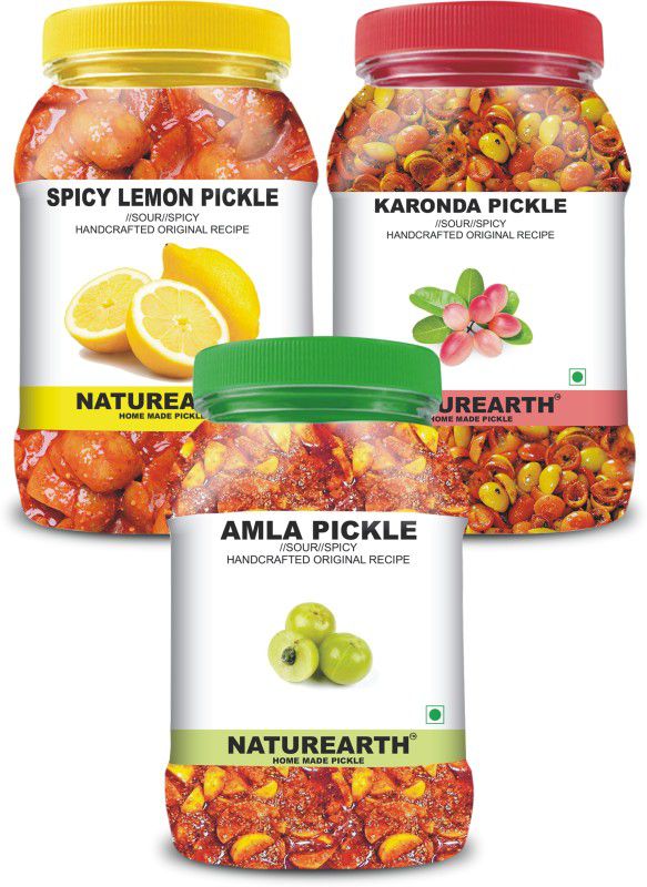 NaturEarth 100% Natural Amla , Spicy Lemon & Karondha Pickle(600 g) Primium Quality Achar Mixed Pickle  (3 x 200 g)