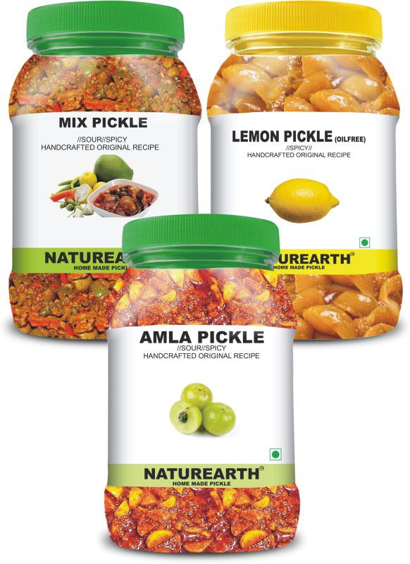 NaturEarth 100% Natural Amla , Mix & Lemon (Oil free) Pickle(600 g) Primium Quality Achar Mixed Pickle  (3 x 200 g)