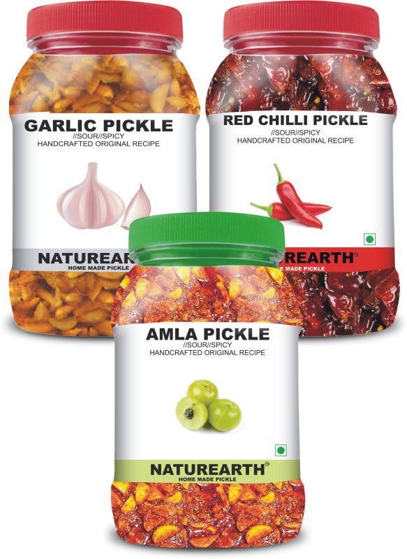 NaturEarth 100% Natural Amla , Garlic & Red chilli Pickle(600 g) Primium Quality Achar Mixed Pickle  (3 x 200 g)