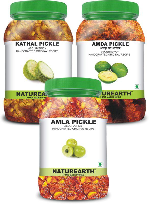 NaturEarth 100% Natural Amla , Kathal & Amda Pickle(600 g) Primium Quality Achar Mixed Pickle  (3 x 200 g)