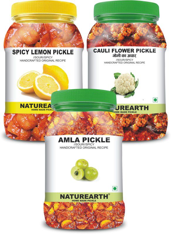 NaturEarth 100% Natural Amla , Spicy Lemon & Gobhi Pickle(600 g) Primium Quality Achar Mixed Pickle  (3 x 200 g)