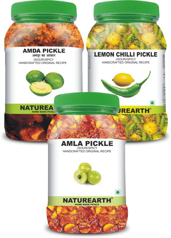 NaturEarth 100% Natural Amla,Amda & Lemon chilli Pickle(600 g) Primium Quality Achar Mixed Pickle  (3 x 200 g)
