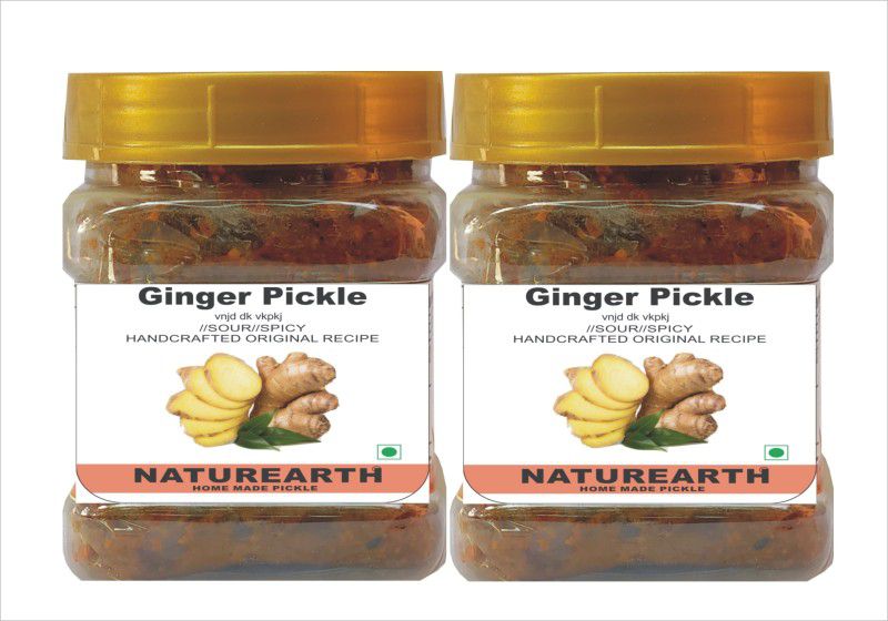 NaturEarth Ginger ( Adarak) Pickle Combo (2x200G) Maa Ke Hath Ka Homemade Achar Ginger Pickle  (2 x 200 g)