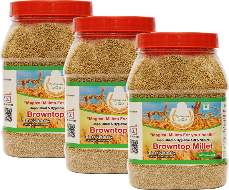 Kadannam Millets (Unpolished & Organic) Browntop Millet / Kangni /Siridhanya (3kg) Browntop Millet  (3 kg, Pack of 3)