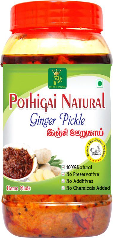 POTHIGAI NATURAL Ginger Pickle 250g Pure Home Made Pickle / No Additives / No Preservatives/ 100% Natural made Ginger Pickle  (250 g)