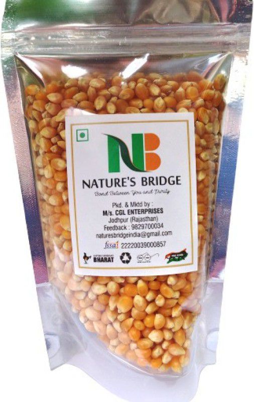 Nature's Bridge Popcorn Kernels Seeds / Corn Seeds for Popcorn / Pop Corn - (400 gm) Simply Salty Popcorn  (400 g)