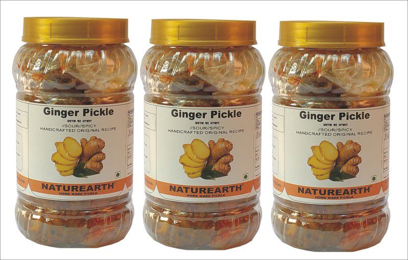 NaturEarth Ginger ( Adarak) Pickle Combo (3x400G) Maa Ke Hath Ka Homemade Achar Ginger Pickle  (3 x 400 g)