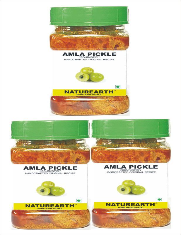 NaturEarth Amla Pickle Combo (3x200G) Maa Ke Hath Ka Mother Made Homemade Achar Amla Pickle  (3 x 200 g)