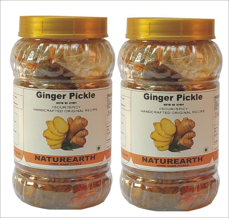 NaturEarth Ginger ( Adarak) Pickle Combo (2x400G) Maa Ke Hath Ka Homemade Achar Ginger Pickle  (2 x 400 g)
