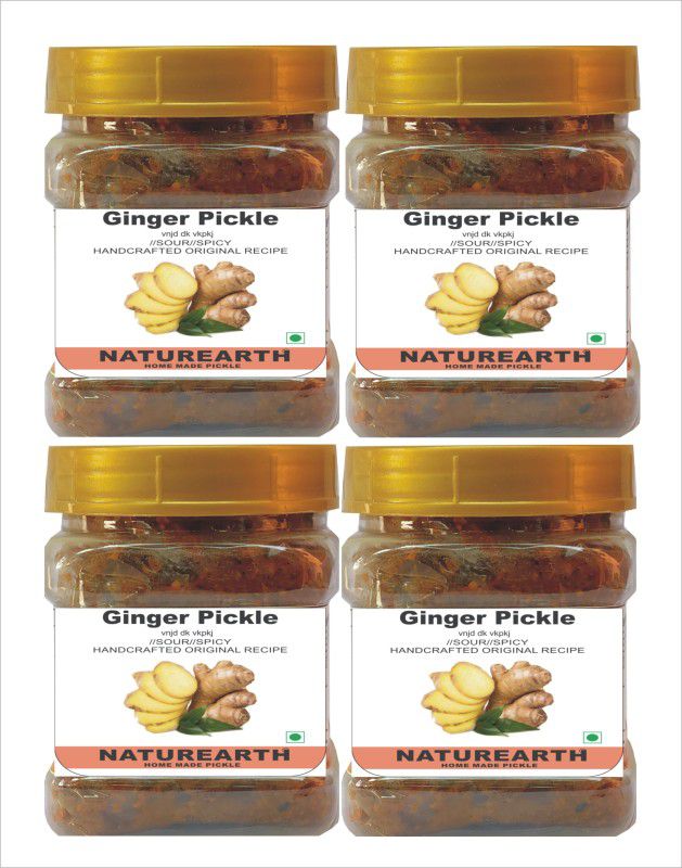 NaturEarth Ginger ( Adarak) Pickle Combo (4x200G) Maa Ke Hath Ka Homemade Achar Ginger Pickle  (4 x 200 g)