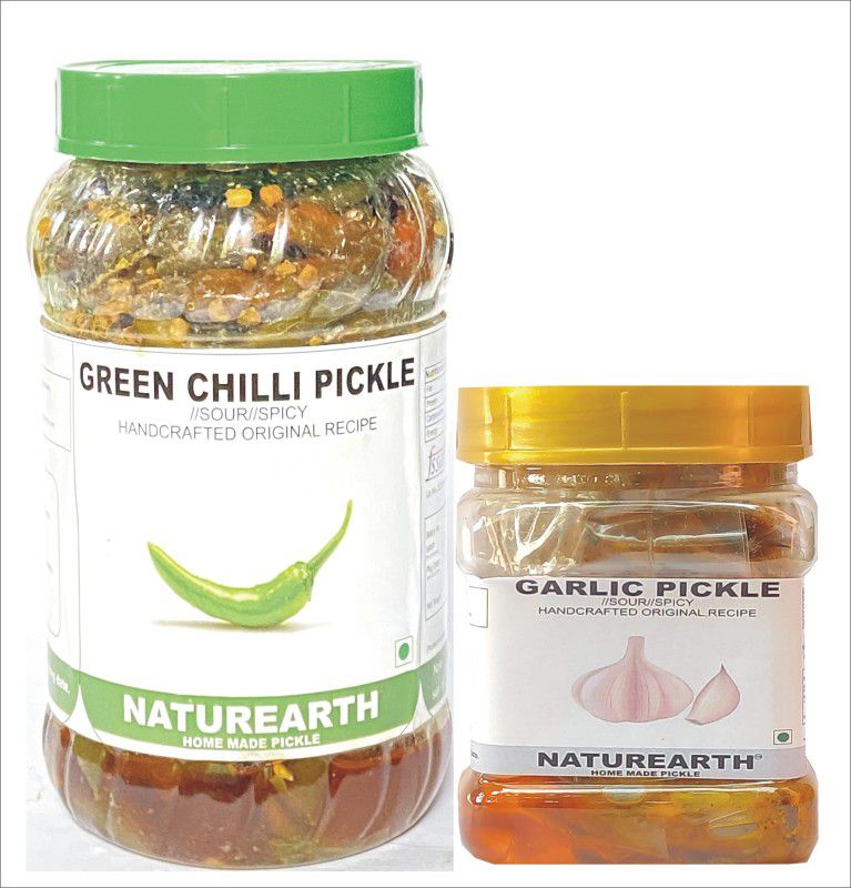 NaturEarth Green Chilli & Garlic Pickle( 400+200 Gm) Homemade Achar Green Chilli Pickle  (2 x 300 g)