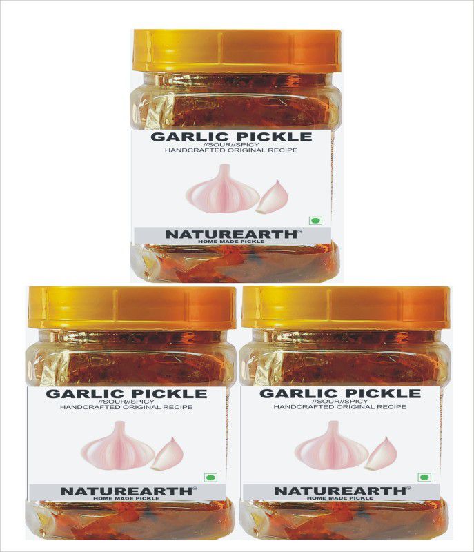 NaturEarth Garlic ( Lahsun ) Pickle Combo (3x200G) Maa Ke Hath Ka Homemade Achar Garlic Pickle  (3 x 200 g)