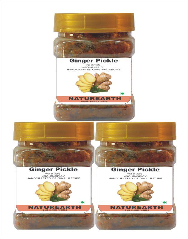 NaturEarth Ginger ( Adarak) Pickle Combo (3x200G) Maa Ke Hath Ka Homemade Achar Ginger Pickle  (3 x 200 g)