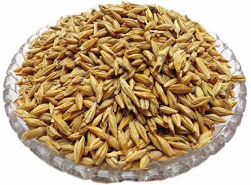 Veganic Raw Barley Seeds | Jau Seed | Juvar/ Cheno Barley  (400 g)